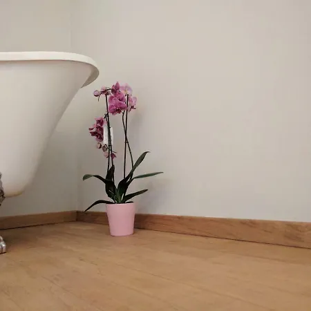 Apartman Mini Bologna